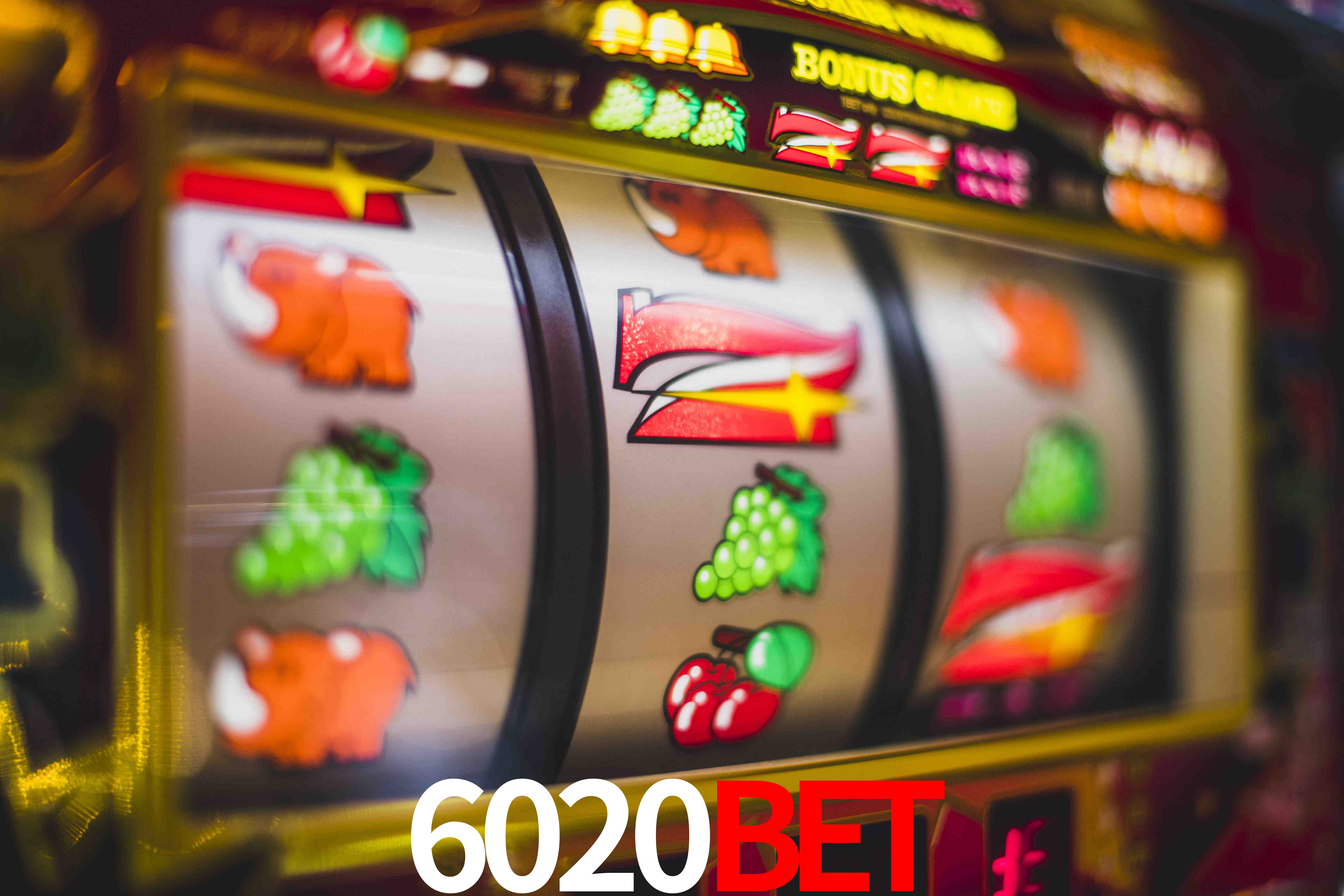 Basketball Betting 6020bet